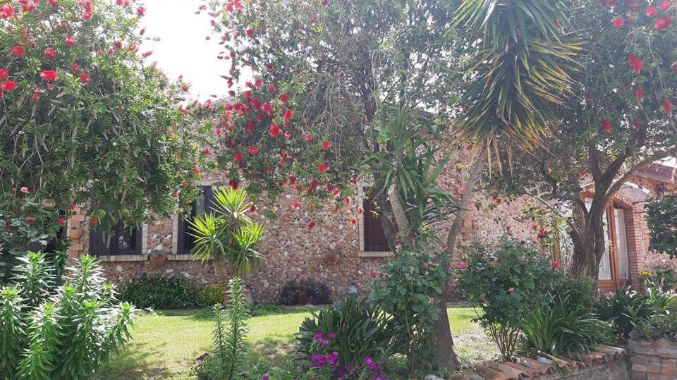 Agriturismo Pingitore Luzzi Eksteriør billede