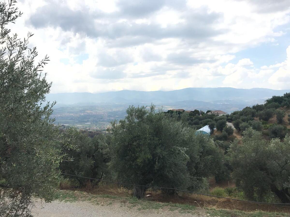 Agriturismo Pingitore Luzzi Eksteriør billede