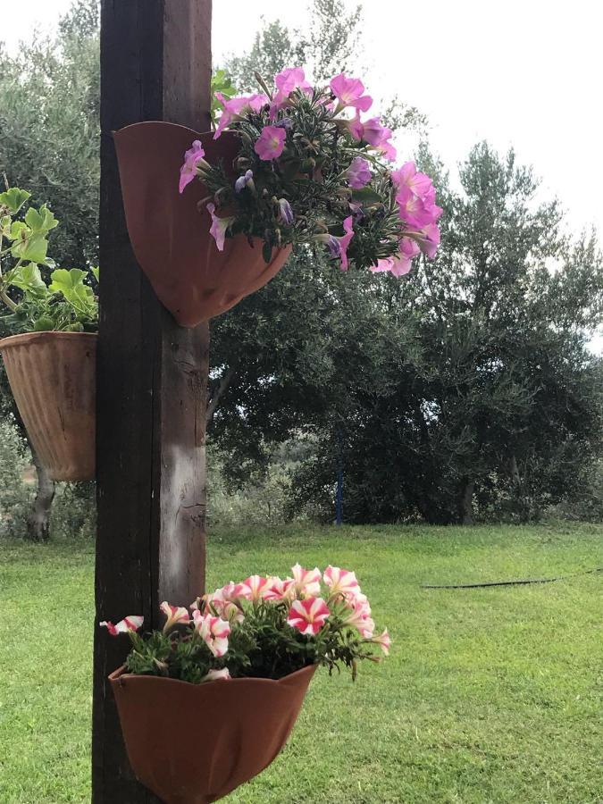 Agriturismo Pingitore Luzzi Eksteriør billede