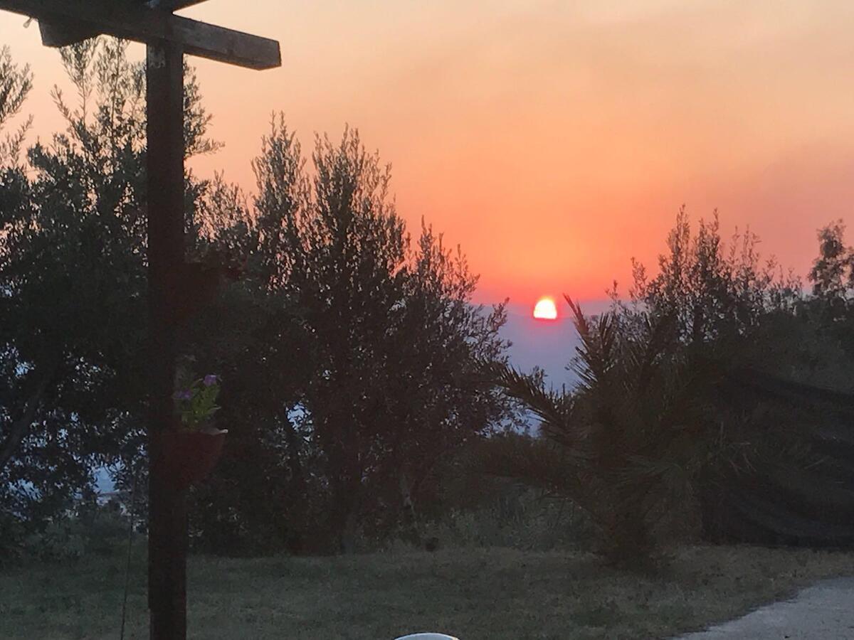 Agriturismo Pingitore Luzzi Eksteriør billede